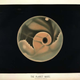Illustration for article titled 19th Century astronomy illustrations are pre-photographic space porn